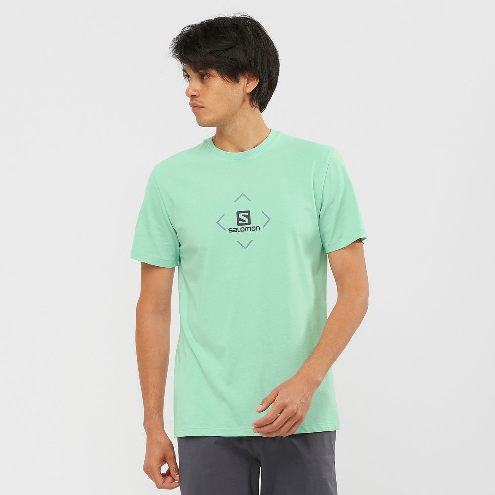 T-Shirts South Africa - SALOMON COTTON - Mens Short Sleeve T-Shirt Mint